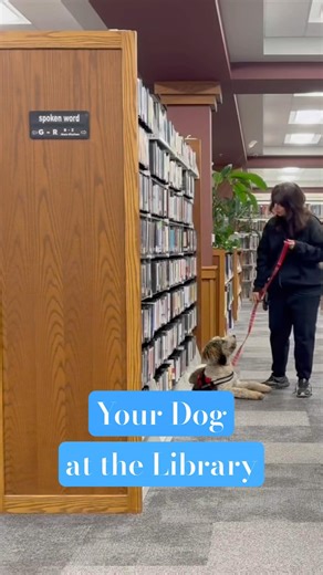 your dog at the library ￼