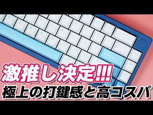 Hippo 65 : Mechanical Keyboard Review