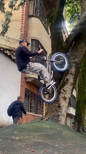Rappi autofilms 🙋🏻‍♂️📹✨ Ride free tree 🚲🍃✨ #bmx #lifestyle #streetstyle | santabmx