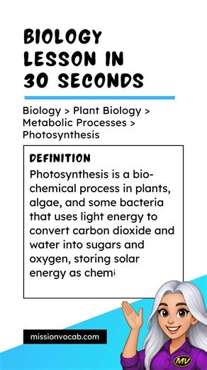 Photosynthesis: Definition & Examples