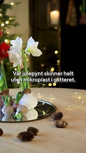 37K views · 269 reactions | Av miljøhensyn besluttet vi for flere år siden å fjerne glitter, dekorsnø og maling med mikroplast fra våre produkter. Vi bruker derfor maling og glitter som er nedbrytbar og helt uten mikroplast. Julepynten og juleblomstene våre får derfor skinne i kraft av seg selv og helt uten mikroplast fra glitter denne julen ✨ | Mester Grønn | Facebook