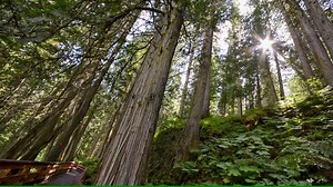 21 reactions | The Caledonia Ramblers Hiking Society has built, and...