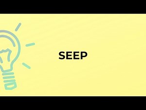 What is the meaning of the word SEEP?
