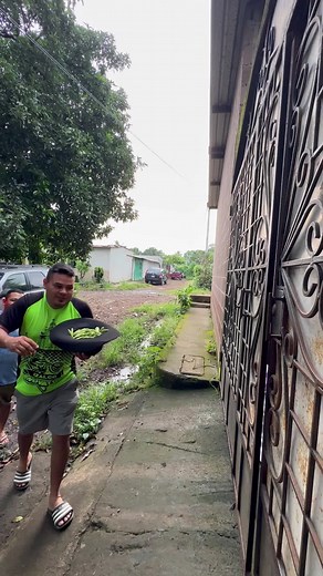 Chufles en crema - Recetas de chuletas de cerdo y pollo