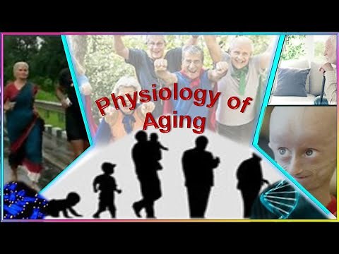 Physiology of aging