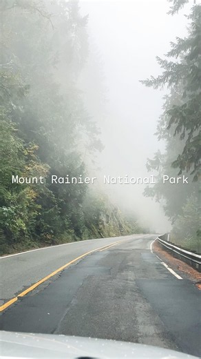 Mount Rainier National Park #washingtonstate