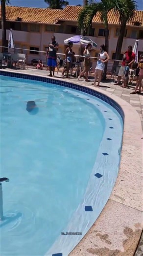 Capybara Swims Undisturbed in Brazil Hotel Pool as Guests Watch
