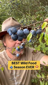 142K views · 1.4K reactions | Woodland Classroom on Reels | Facebook