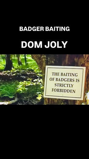 Another scene from my BBC1 show World Shut Your Mouth. This was filmed in Horner Woods below Exmoor. #prank #hiddencamera #funny #pranks | Dom Joly