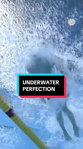 Underwater World Record: Aquatic Perfection Unveiled