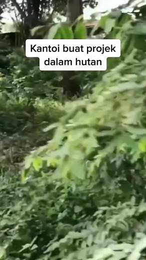 Kantoi Buat Projek Dalam Hutan