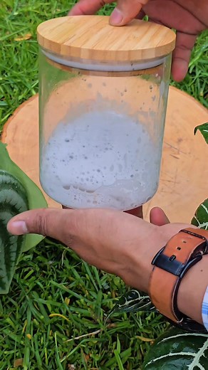 1.6K views | Make your own natural insect repellent using garlic, onion, and detergent powder — a cheap, effective, and eco-friendly way to keep fruit flies and other pests away. 龍 #naturalrepellent #organicfarming #gardeningtips #fruitflies #plantcare Srk Garden | Srk Garden | Facebook