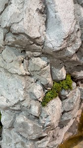 We hand carve concrete to look like natural stone 🪨 #artificialrock #carve #design #rockscapescanada #rockreplica #fauxrock #construction #texture #build #handcarve #art #artist #rocktheming #theming #concreteartistry #decorativeconcrete | Rockscapes