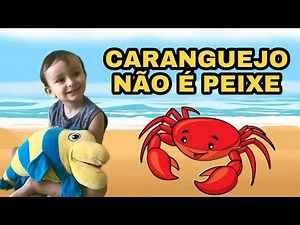 RODA RODA RODA - Caranguejo peixe é - #musicasinfantis -Música Infantil / Mundo de Davi