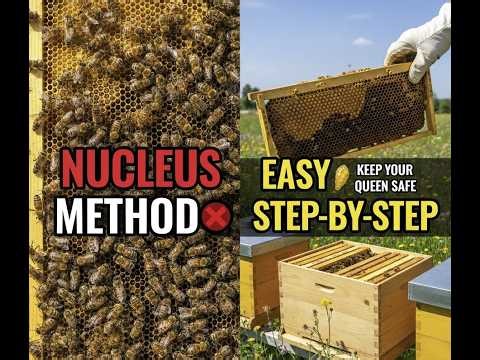 Swarm Control: The Nucleus Method