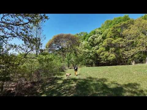 Vaughters Farm Hike