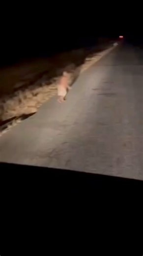 THEM DONE THEY GO MEETING…TAKE THIS PRAYER | Charles Edobor