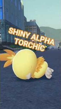 SHINY TORCHIC IS HERE #giveaway #pokemon #legendsza#shinypokemon #shinyhunting #shorts