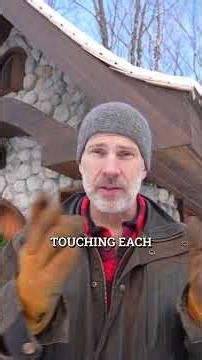 Winter Pruning Removes Crossing Branches And Headaches