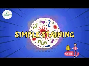 Simple Staining Procedure। Bacterial Simple Staining।Methylene Blue Stain।