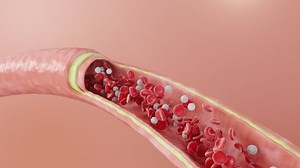 Red Blood Cells Flow Inside Artery Stock Footage Video (100% Royalty-free) 1059665594 | Shutterstock