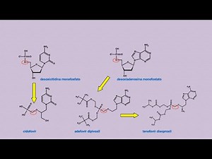 Tenofovir/Adefovir/Cidofovir (antivirales) síntesis introducción