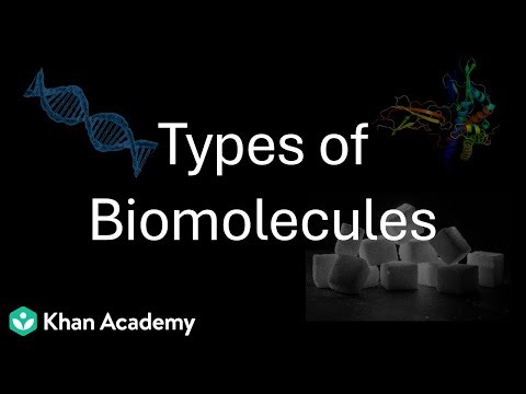 An Introduction to Different types of Biomolecules | Biomolecules | Class 11 | Botany | Telangana