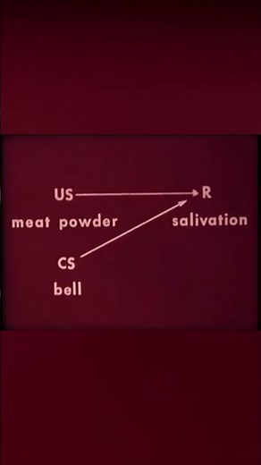 Classical Conditioning - Pavlov's Dog