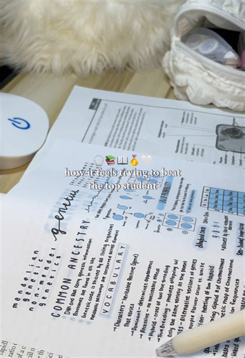 Overcoming Study Challenges as a Top University Student