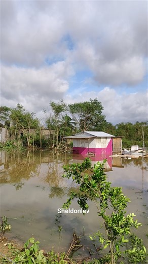 Saint Elizabeth, Jamaica | sheldonlev