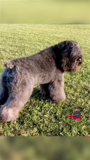 13K views · 676 reactions | Big Kudos 殺 to Brittney Walton! Over...