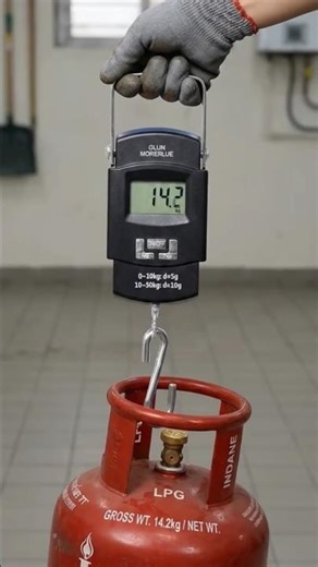 Electronic Portable Digital Weighing Scale