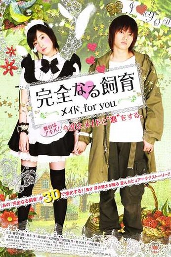Perfect Education: A Maid for You - Movie