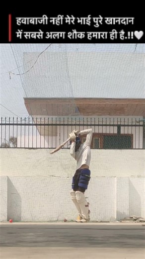 punch 💕 #viral #viralshort #video #viralvideo #viralvideos #cricketshorts #cricketshots #views