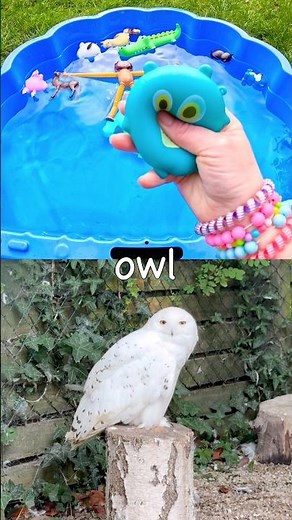 Animal Names for Kids to Learn with Toys: Owl Lemur Flamingo Gecko Axolotl