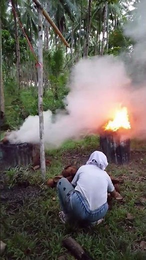 Proses Pembuatan Arang Tampurung