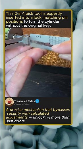 The 2 in 1 Lock Pick Tool