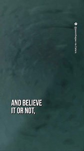 103K views · 863 reactions |  . . . #kireilifestyle #kitesurfing #kiteboarding #kiteboardingworld #kitesurfingworld | Kiteboardingworld | Facebook