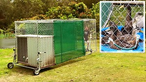 Walk-in mobile duck tractor | Plus 1 million reasons to thank you