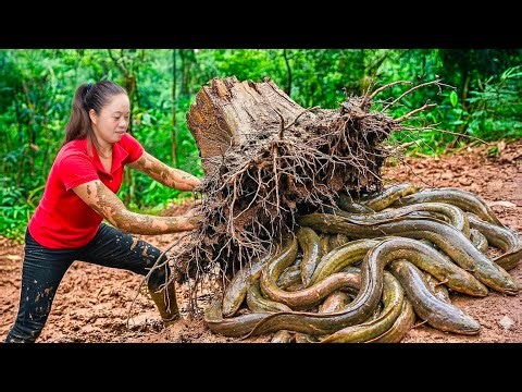 Catching Tree Ghost Eel & Go to Market Sell | ancient eel Trapping techniques of fishermen