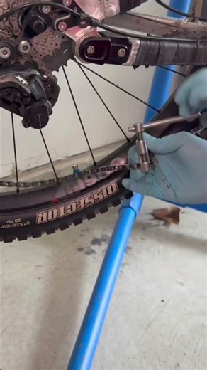 Perfect Chain Length = Crispy Shifts #mtb #chain#cycle