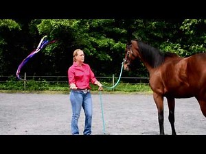 The Ribbon Wand-- Product Review & Training Session with Tara Jones and "Disco Doll"