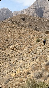 Mountains ♥️⛰️ ♥️ Balochistan 💙 @balochistannature3 follow my tiktok account 🥀balochistannature3. snapchat: maqsoodzaib143 . . . . . . . . . . #exlore #explore #explore #explorepage #explorepage #balochistannature #quetta#pakistan #naturelover#naturephotography #ınstagood instaviral#viralvideos #viralreels #followmemoreupdates❤️ | بلوچستانی