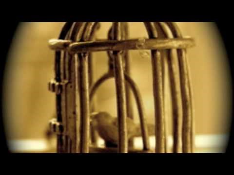 The Gift by Aselin Debison