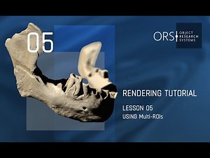 Rendering & Movie Making with Dragonfly #5 Using multi-ROIs part 1