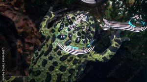 Oriental fire-bellied toad (Bombina orientalis) in water