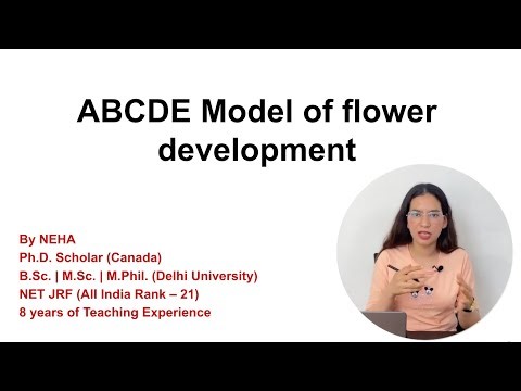 ABCDE Model of Flower Development | CSIR NET Life Science #csirnet #csir #csirexam #biology