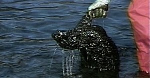 1999: Exxon Valdez, 10 Years Later