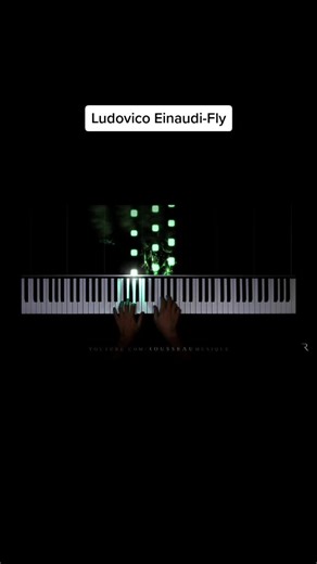 Ludovico Einaudi-Fly#piano #rousseau