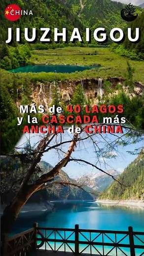 More than 40 lakes and the widest waterfall in China 🇨🇳 😱 Jiuzhaigou National Park 💎 #chinatravel